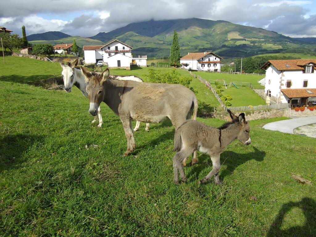 Casa Rural Gananea Zuaztoy de Azpilcueta Camera foto